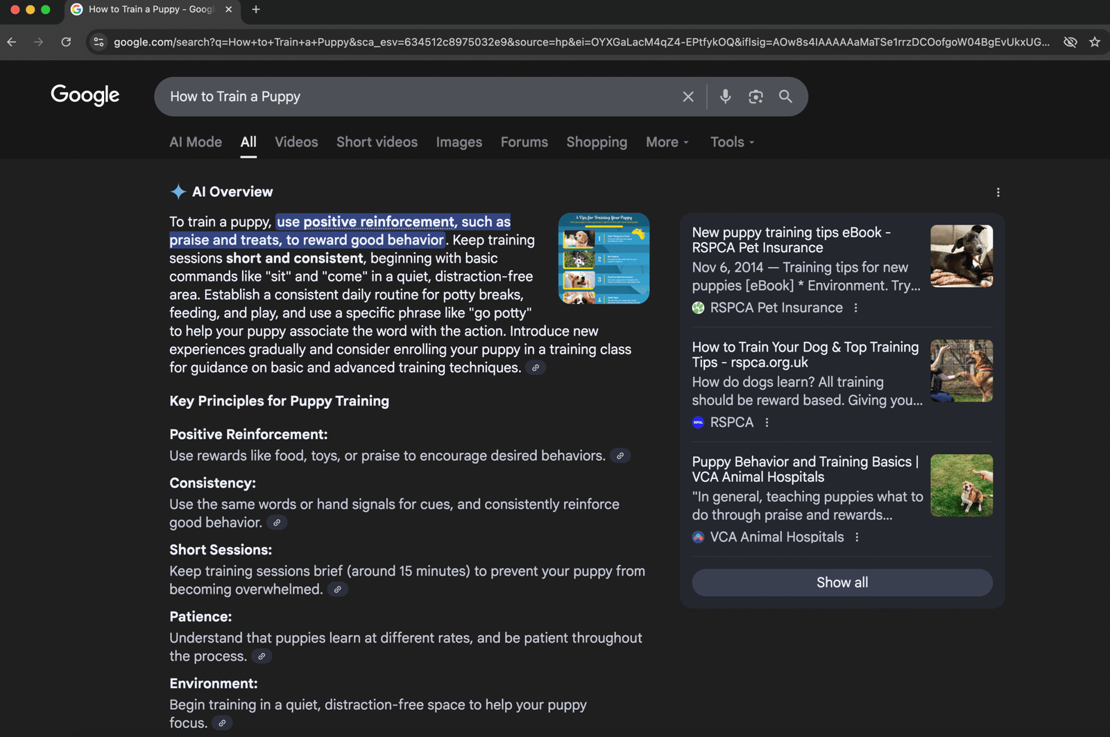 Semantic Optimization AI SEO